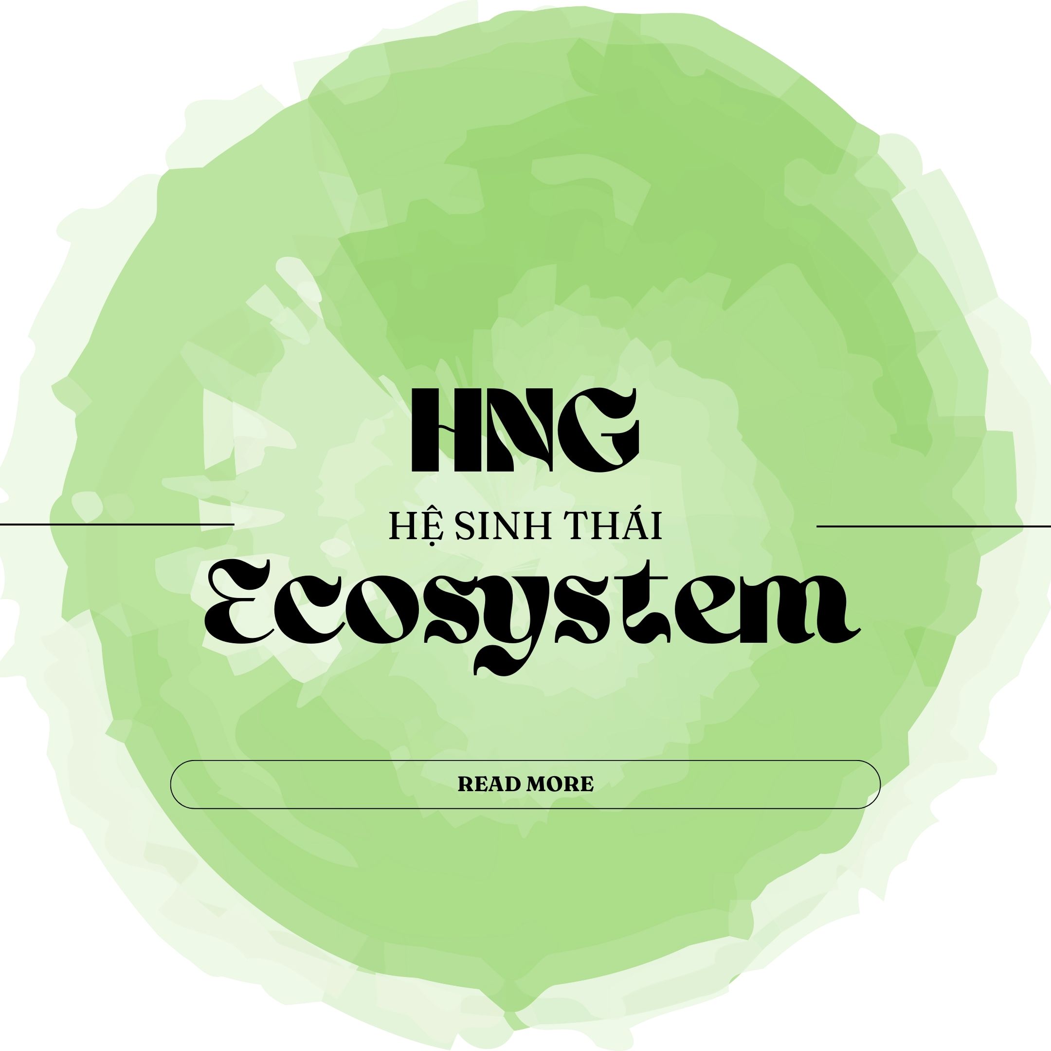 HNG Ecosystem